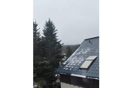 Kleine, kompakte 2- Raumwohnung in Eibenstock OT