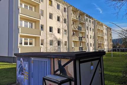 Wohnung zum Mieten in Stralsund 530,00 € 71.6 m²