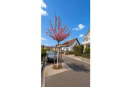 Haus zum Mieten in Renningen 2.200,00 € 155 m²