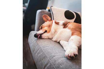 Ohne Eigenkapital möglich. Mietkaufimmobilie abzugeben. - Herford Diebrock