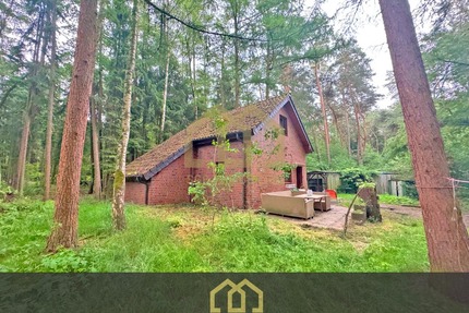 6.503 m² Naturparadies an der Hunte – Wochenendhaus in traumhafter Waldlage - Wildeshausen