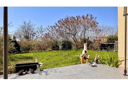 Wohnung zum Kaufen in Bad Bellingen 139.000,00 € 37 m²