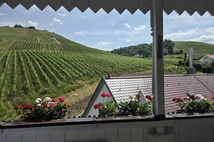 Provisionsfrei! Panoramablick direkt an den Weinbergen Untertürkheims - Stuttgart