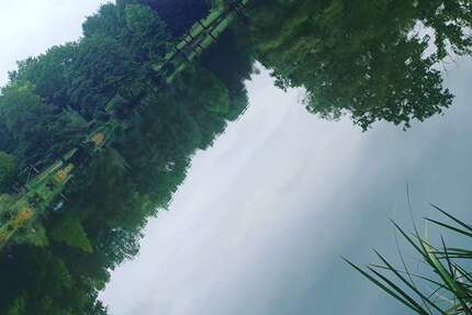 Wohnung zum Mieten in Neunkirchen 650,00 € 75 m²