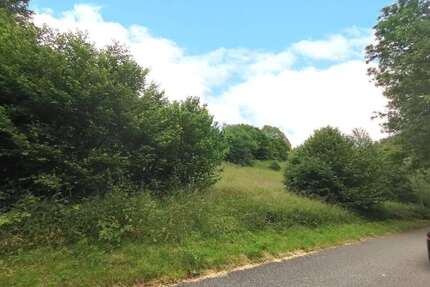 Grundstück zu verkaufen in Katzwinkel 25.000,00 € 851 m²