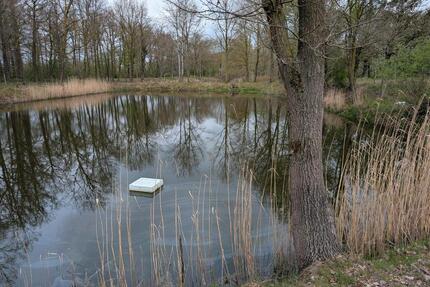 Freizeitgrundstück mit Teich bei Rethem Aller zu verpachten - Marklohe