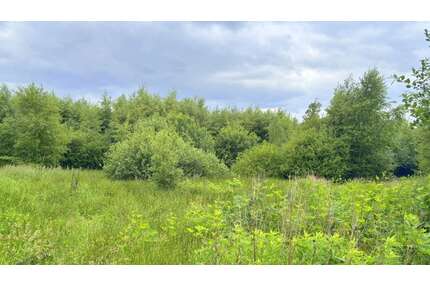 Grundstück in Edewecht 78.000,00 € 47086 m²