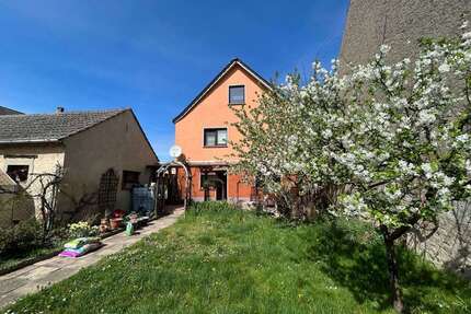 Haus zum Kaufen in Schönfeld 285.000,00 € 207.34 m²