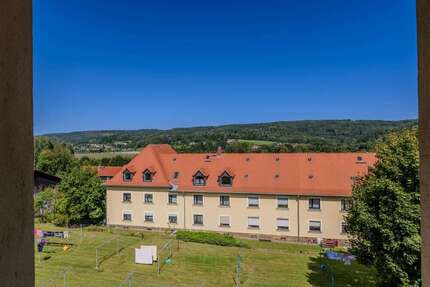 Wohnung zum Mieten in Sebnitz 333,50 € 55.57 m²