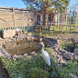 Pachtgarten in 39221 Bördeland OT Biere