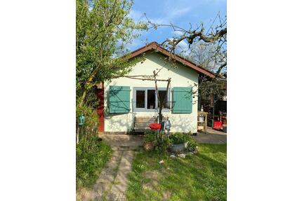 Kleingarten KGV Giesewiesen, Nähe AustadionBuga - Kassel Vorderer Westen