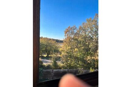 1 Jahr befristet, (Teil-)Möblierte 2ZKB ab 1.5. - Mainz Lerchenberg