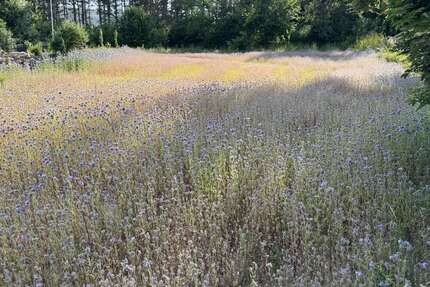 Grundstück zu verkaufen in Hebenshausen 37.500,00 € 1000 m²