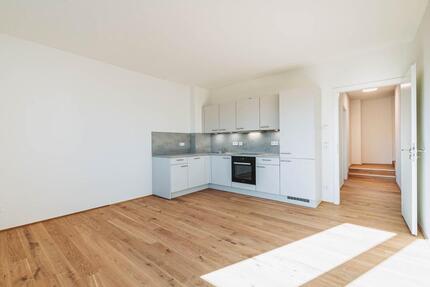 Modernes Wohnen: Exklusive 4-Zimmer-Neubauwohnung mit Einbauküche - Halle (Saale) Damaschkestraße