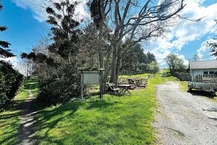 Grundstück in Ilsenburg (Harz) OT Darlingerode 175.000,00 € 110298 m²