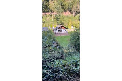 Ferienhaus zum Verkauf - 260.000,00&nbsp;EUR Kaufpreis, ca.&nbsp; 90,00&nbsp;m&sup2; in Trierweiler (PLZ: 54311)