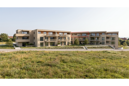 Wohnung zum Kaufen in Langenau 769.500,00 € 155 m²