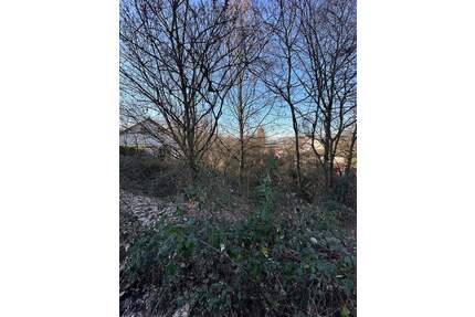 Besser geht es nicht mehr: Interessantes Bauplatz-Paket zum Super-Preis in Lauterecken!