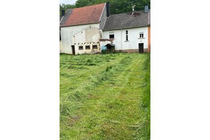 Haus zum Renovieren-Für Handwerker geeignet - Pronsfeld