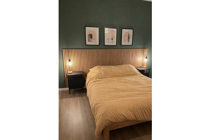 Elegant City Apartment in Damenviertel • Walk Everywhere - Jena