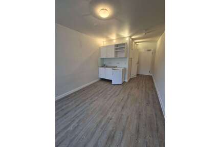 Wohnung zum Mieten in Dresden 345,00 € 20 m²