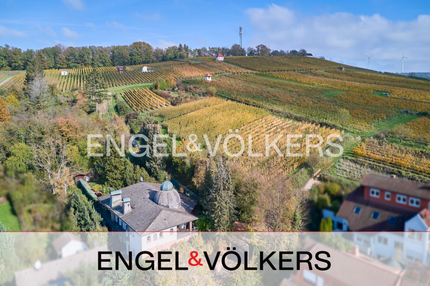 Haus zum Kaufen in Groß-Umstadt 1.295.000,00 € 408 m²