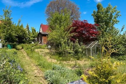 Kleingarten Kleinnaundorf | Gewächshaus | ruhige Lage - Freital