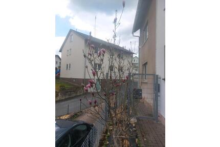 Doppelhaushälfte zum Verkauf - 250.000,00&nbsp;EUR Kaufpreis, ca.&nbsp; 160,00&nbsp;m&sup2; in Auerbach in der Oberpfalz (PLZ: 91275)