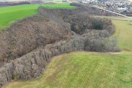 4,4 ha Wald an der Bahre - 5.000,00&nbsp;EUR Kaltmiete, ca.&nbsp; 0,00&nbsp;m&sup2; in Bahretal (PLZ: 01819)