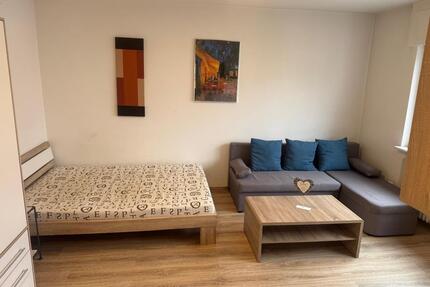 Offenbach Zentrales 1 Zimmer-Apartment möbeliert ab sofort frei - Offenbach am Main Bieberer Berg