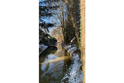 Bungalow am Neuendorfer See auf Pachtland - Lübben (Spreewald)