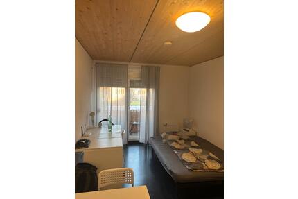 möblierte 1-Zimmerwohnung zur Untermiete *10.05-24.08.2026* - Mannheim Almenhof