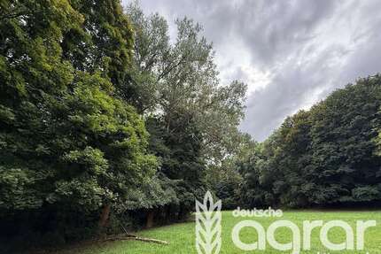 Grundstück in Winterscheid 12.900,00 € 11190 m²