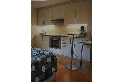 Modernes 1Zimmer Apartment warm - Stuttgart Stuttgart-West