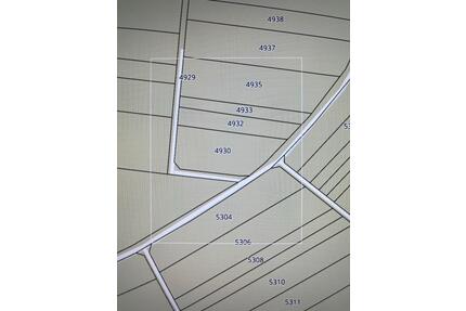 Kürnbach - Spitzenbaum Flur 4930 Gegen Gebot! - Frankfurt am Main Oberrad