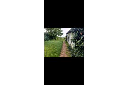 Haus Bungalow am See zu verkaufen - Angermünde