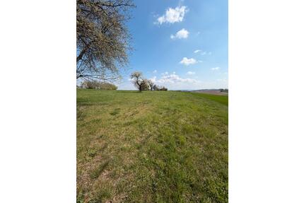 Große Freizeitgrundstück Streuobstwiese in Alleinlage zu verpachten - Nebra (Unstrut)