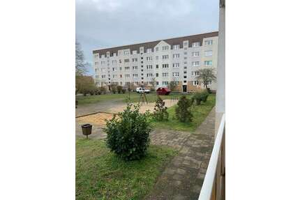 Wohnung zum Mieten in Bad Düben 360,00 € 60 m²