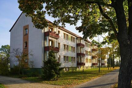 Vollmodernisierte 3-Zimmer-Wohnung mit Balkon in Ressen - Neupetershain