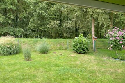 Attraktives Grundstück mit Waldblick in Kiekebusch!!! - Cottbus