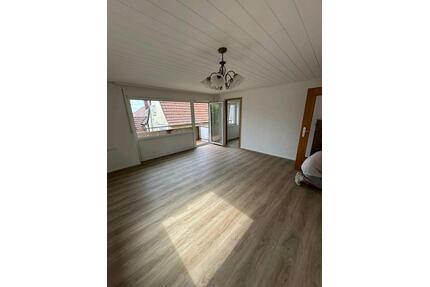 neu renovierte 1 Zimmer Wohnung mit Balkon zum vermieten i - Bietigheim-Bissingen
