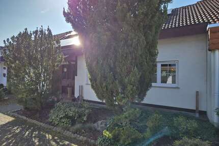 Haus zum Kaufen in Limburgerhof 779.000,00 € 175 m²