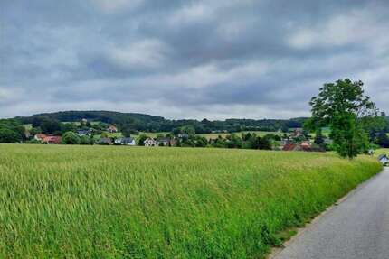 Grundstück in Vlotho 56.000,00 € 14000 m²