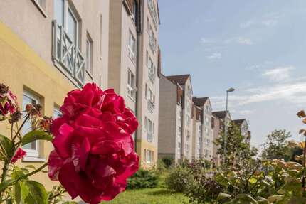 Wohnung zum Mieten in Pirna 401,94 € 69.3 m²