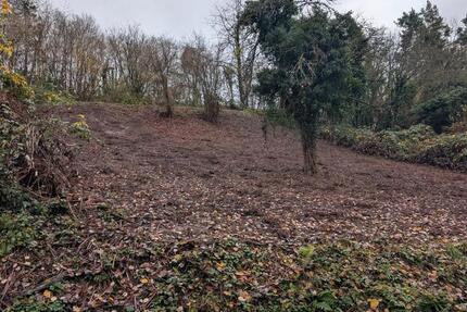 Freizeitgrundstück 500 m² in Weinstadt – ruhiger Rückzugsort
