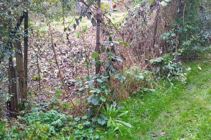 Erholungsgrundstück - 550,00&nbsp;EUR Kaltmiete, ca.&nbsp; 0,00&nbsp;m&sup2; in Storkow (Mark) (PLZ: 15859)