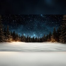 Candlelight zur Weihnachtszeit | Romantisch - Festlich - Bombastisch