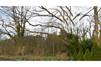 Grundstück zu verkaufen in Petersfehn II 109.000,00 € 2504 m²