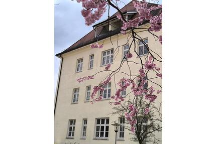 Historischer Charme trifft modernen Komfort–2-Zi.-Whg.Palais - Weingarten