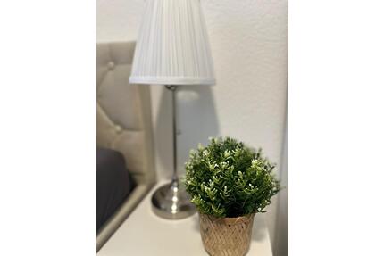 Modernes WG-Zimmer in kernsaniertem Haus - Mannheim Niederfeld